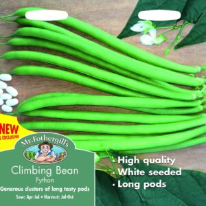 Mr Fothergills Climbing Bean Python 50 Seeds