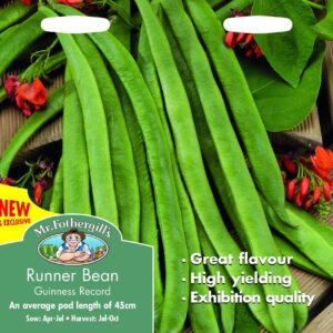 Mr Fothergills Runner Bean Guinness Record 45 Seeds