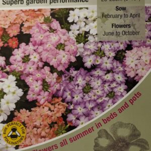 Kings Seeds Verbena Tuscany Pastel Shades 30 Seed