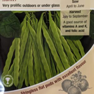 Kings Seeds Climbing French Bean Hunter 100 Seeds