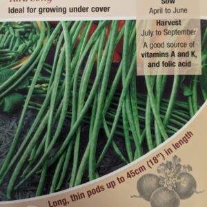 Kings Seeds Climbing French Bean Yard Long Seeds
