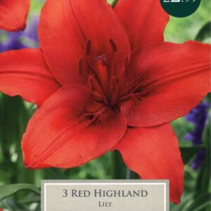 Taylors Flower - Lily - Red Highland - Asiatic Lilies - 3 Bulb