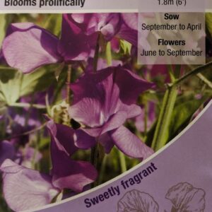 Kings Seeds Sweet Pea Memories 20 Seeds