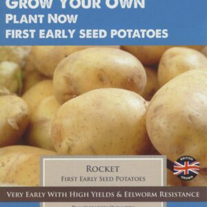 Taylors Seed Potatoes Rocket 10 Tubers First Early