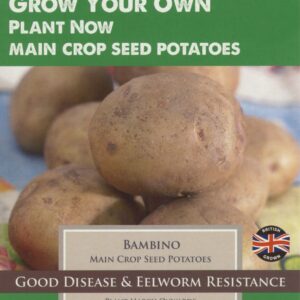 Taylors Seed Potatoes Bambino 10 Tubers Main Crop