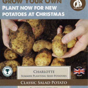 Taylors Seed Potatoes Charlotte 10 Tubers Summer planting