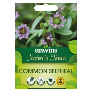 Unwins Flower Native British Isles Wildflower Common Selfheal - 200 Seeds