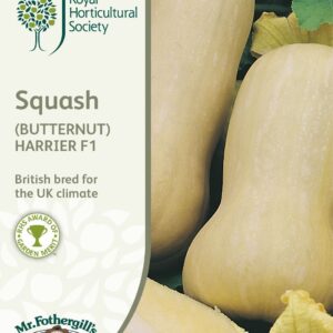 Mr Fothergills RHS Squash (Butternut) Harrier F1 10 Seeds