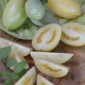 Tomato Cream Sausage Seeds