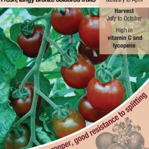 Kings Seeds Tomato Garnet Seeds