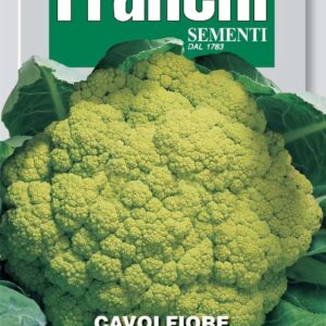 Franchi Seeds of Italy Cauliflower Verde Di Macerata Seeds