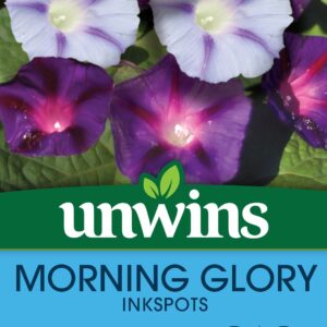 Unwins Morning Glory Inkspots 35 Seeds