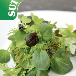 Sutton Seeds - Salad Leaves Oriental Wonders Seed Mix