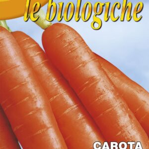 Franchi Organic BIOB23/15 Carrot Berlicum Seeds