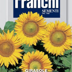 Franchi Seeds of Italy - Flower - FDBF_ 329-3 - Sunflower - Girasole Nanisimo - Dwarf Sunspot - Seeds