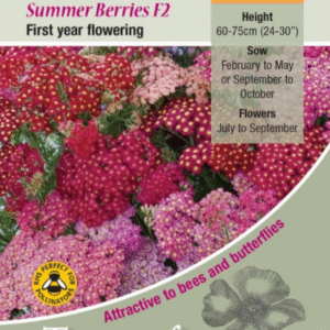 Kings Seeds Achillea Summer Berries F2 40 Seed