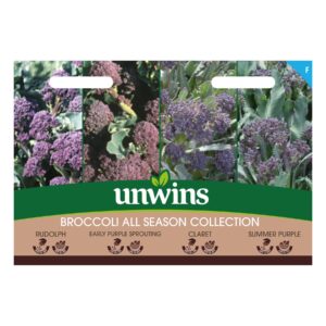 Unwins Vegetable Broccoli Early Sprouting Broccoli All Season Collection Pack - 1000 Seeds