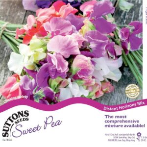 Sutton Seeds - Sweet Pea Seeds - Distant Horizons