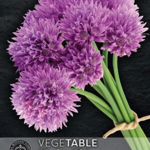Thompson & Morgan Kew Herb Allium schoenoprasum Chives - 1000 Seeds