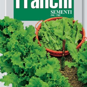 Franchi Seeds of Italy Lettuce Verde Ricciolina Da Taglio Seeds