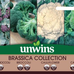 Unwins Brassica Collection Pack Seeds