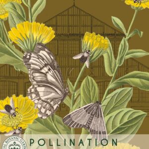 Thompson & Morgan Kew Pollinators Flower Marigold - 100 Seeds