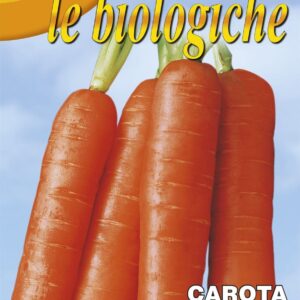 Franchi Organic BIOB23/7 Carrot Nantes Seeds