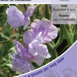Kings Seeds Sweet Pea Chatsworth 20 Seeds