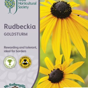 Mr Fothergills RHS Rudbeckia Goldsturm 200 Seeds