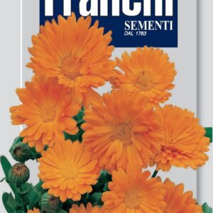 Franchi Seeds of Italy - Flower - FDBF_ 309-3 - Calendula - Pot Marigold - Fiesta - Seeds