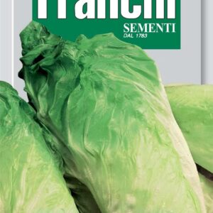Franchi Seeds of Italy Chicory Pan Di Zucchero Seeds
