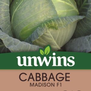 Unwins Cabbage (Round) Madison F1 Seeds