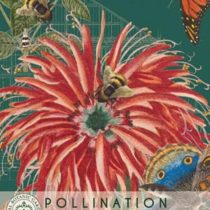 Thompson & Morgan Kew Pollinators Flower Bee Balm - 80 Seeds