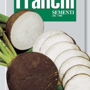 Franchi Seeds of Italy - DBO 114/2 - Black Radish - Ramolaccio Nero Tondo D'Inverno - Seeds