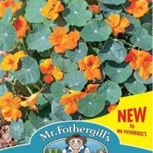 Mr Fothergills - Flower - Nasturtium Baby Orange - 25 Seeds