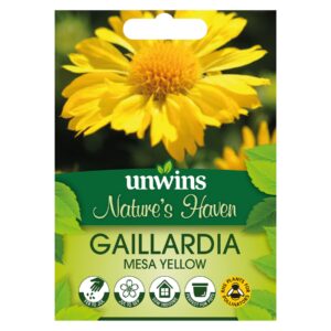Unwins Flower Gaillardia Mesa Yellow - 15 Seeds