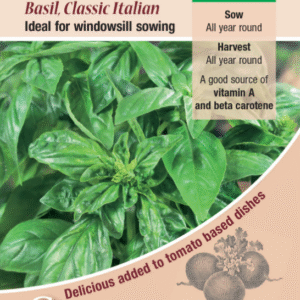 Kings Seeds Basil Classic Italian 750 Seeds
