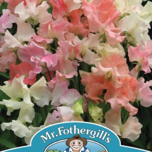 Mr Fothergills - Flower - Sweet Pea - Frills & Blushes - 25 Seeds