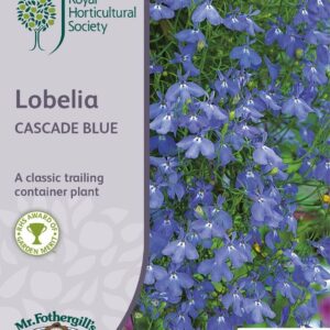 Mr Fothergills RHS Lobelia Cascade Blue 2500 Seeds