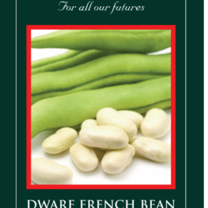 Suffolk Herbs  Organic Dwarf French Bean Cannellino 100 Seed