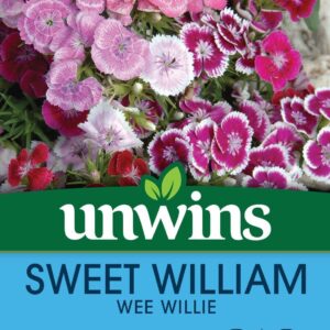 Unwins Sweet William Wee Willie 500 Seeds