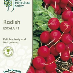 Mr Fothergills RHS Radish Escala F1 500 Seeds