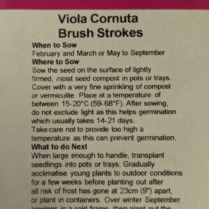 Kings Seeds Viola Brush Strokes 50 Seed