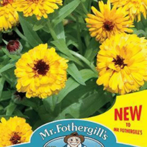 Mr Fothergills Calendula Bull's Eye 50 Seeds