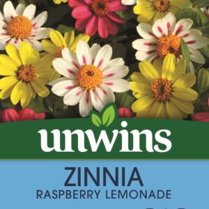 Unwins Zinnia Raspberry Lemonade 25 Seeds