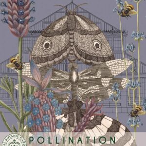 Thompson & Morgan Flower Lavender - 110 Seeds