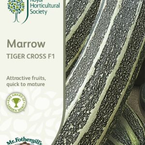Mr Fothergills RHS Marrow Tiger Cross F1 10 Seeds