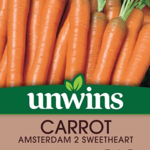 Unwins Carrot Amsterdam 2 Sweetheart -1200 Seeds
