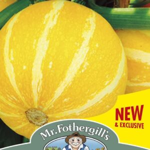 Mr Fothergills Courgette Summer Holiday 10 Seeds