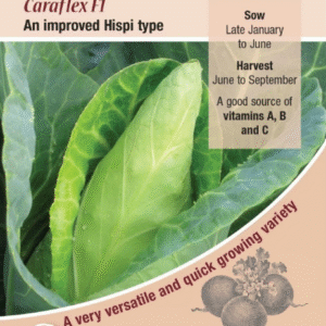 Kings Seeds Cabbage Caraflex F1 -  50 Seeds